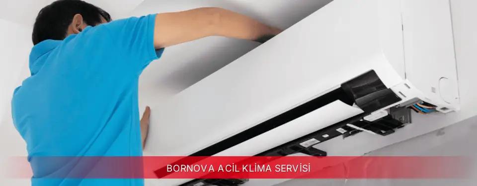 Bornova İlçemi Mitsubishi Electric Acil Klima Servisi