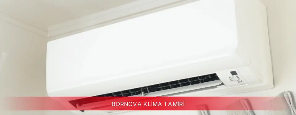 Bornova İlçemi Mitsubishi Electric Klima Tamiri