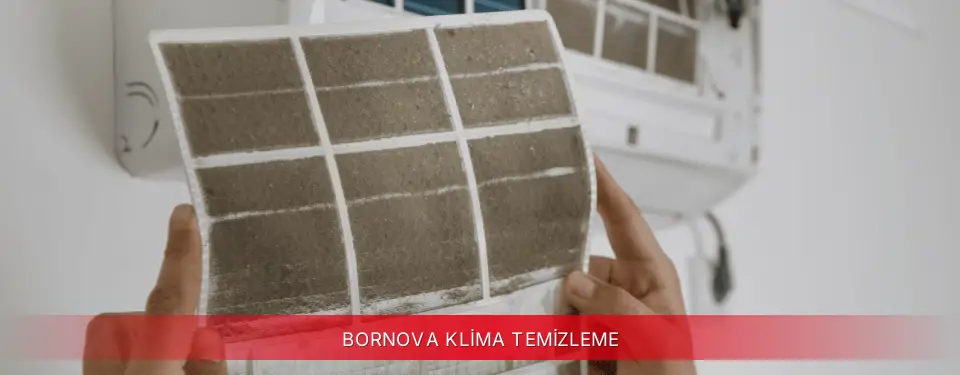 Bornova İlçemi Mitsubishi Electric Klima Temizleme